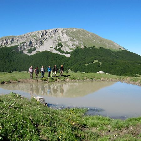 B&B Sole Del Pollino 로톤다 외부 사진