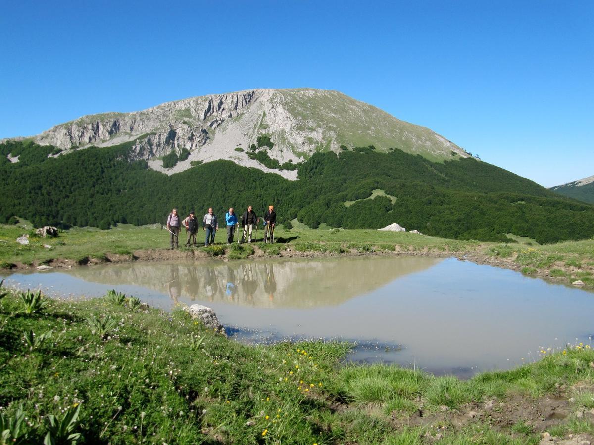 B&B Sole Del Pollino 로톤다 외부 사진