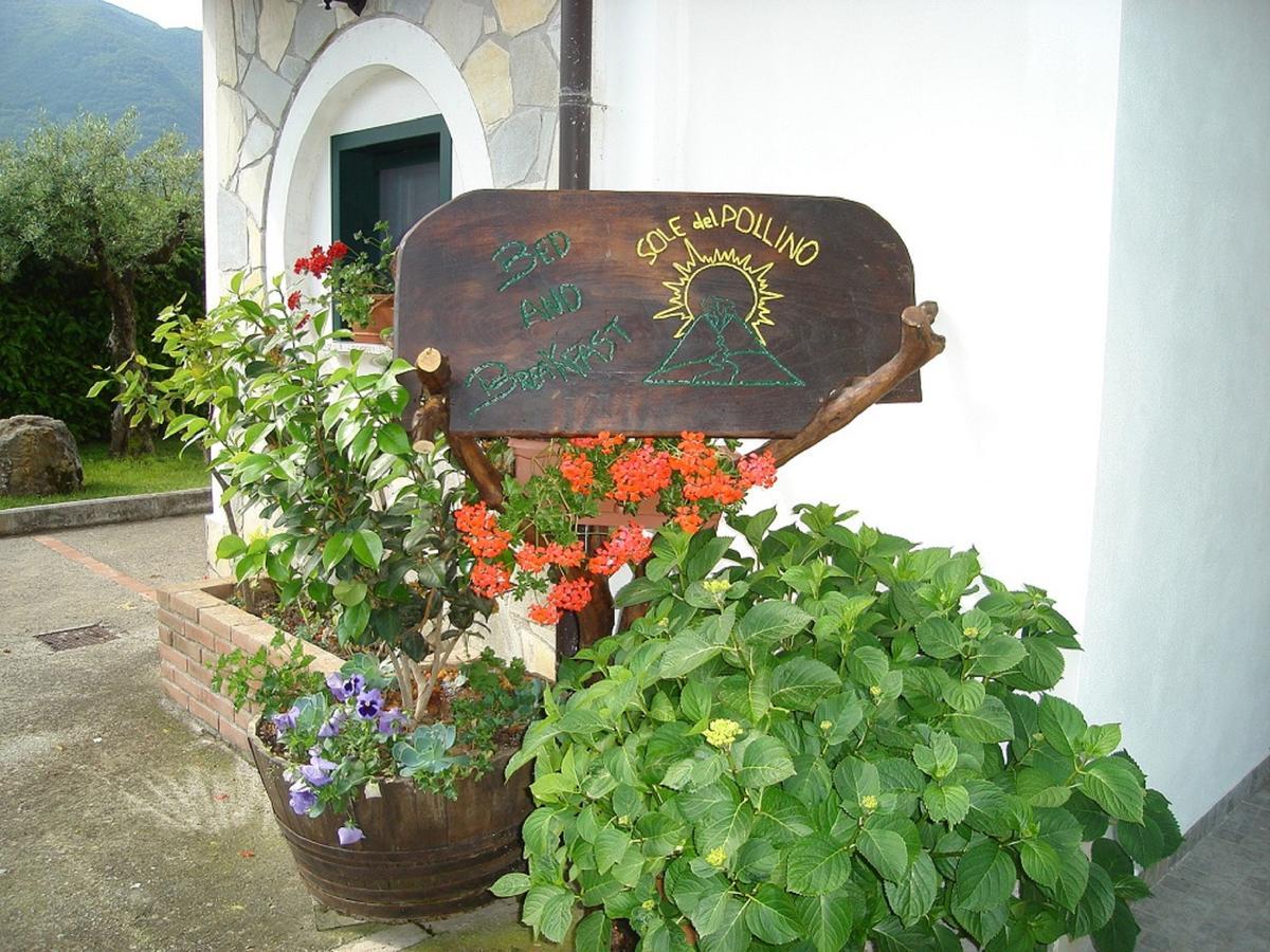B&B Sole Del Pollino 로톤다 외부 사진